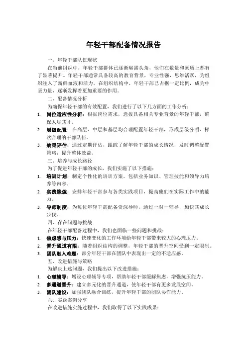 年轻干部配备情况报告