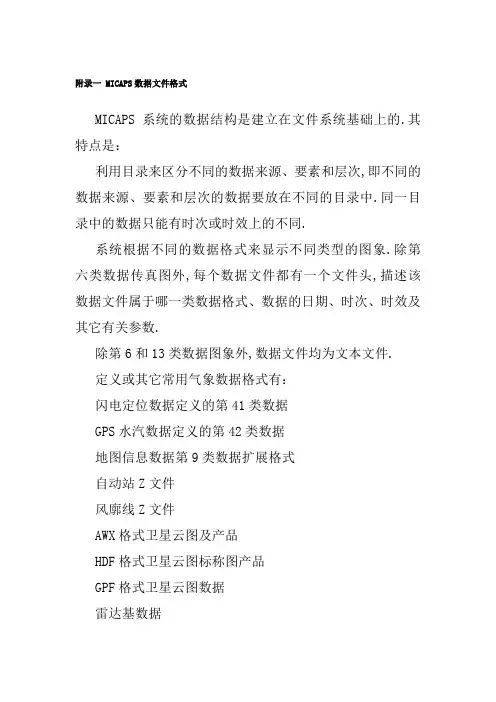 MICS数据格式全部
