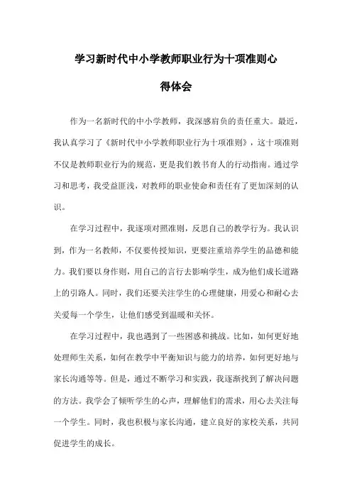 学习新时代中小学教师职业行为十项准则心得体会