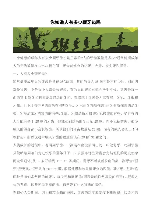 【推荐】你知道人有多少颗牙齿吗