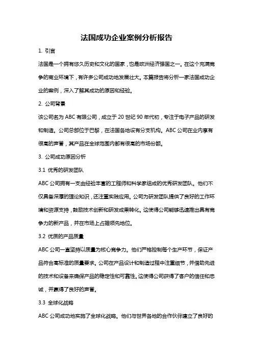 法国成功企业案例分析报告