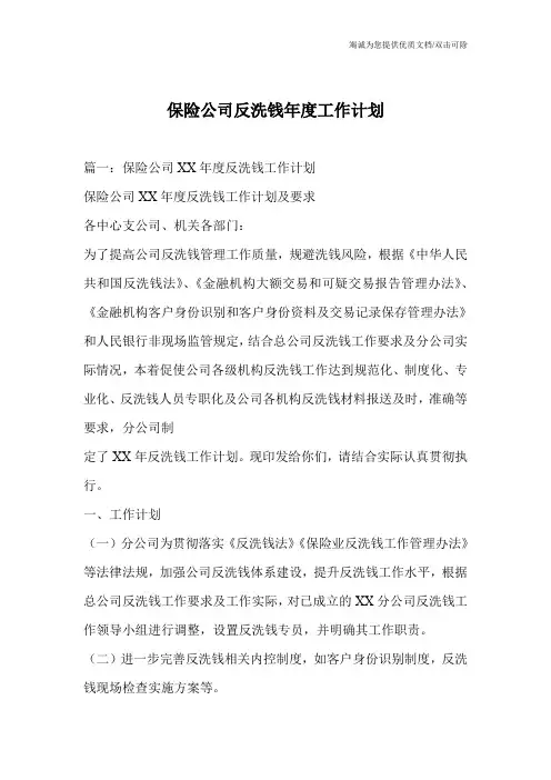 保险公司反洗钱年度工作计划