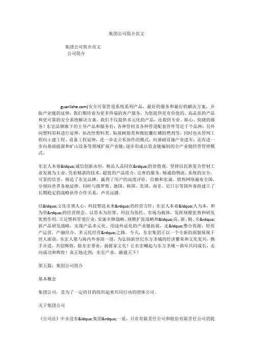 集团公司简介范文