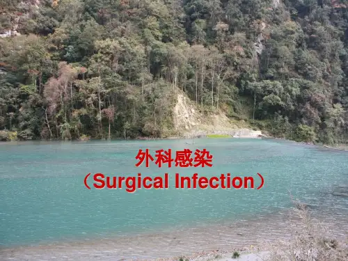 《外科感染》PPT课件