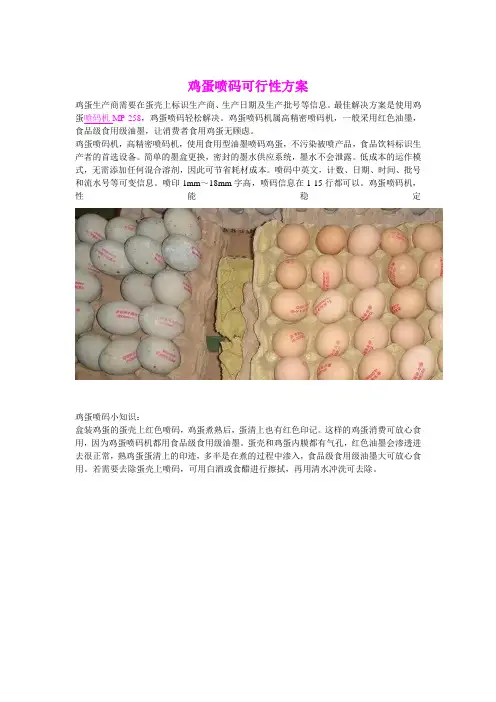 鸡蛋喷码可行性方案