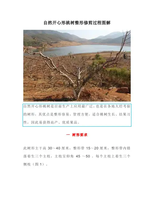 (完整word版)桃树自然开心形整形修剪过程图解