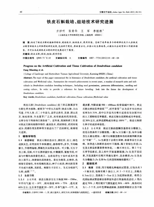 铁皮石斛栽培、组培技术研究进展
