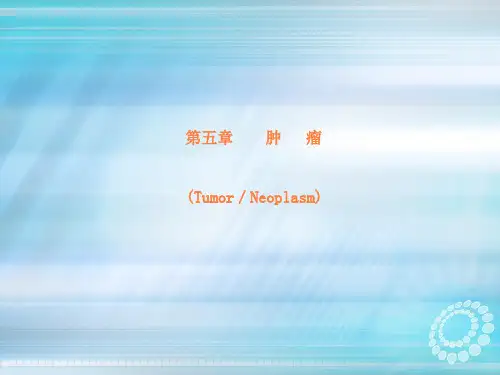 第五章肿瘤ppt课件