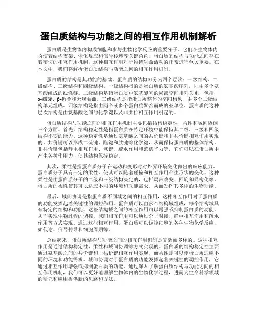蛋白质结构与功能之间的相互作用机制解析