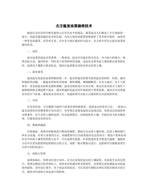 北方温室油菜栽培技术