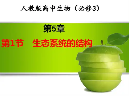[人教版]《生态系统的结构》教学课件1