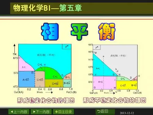 大学物理化学经典课件5-6-相图