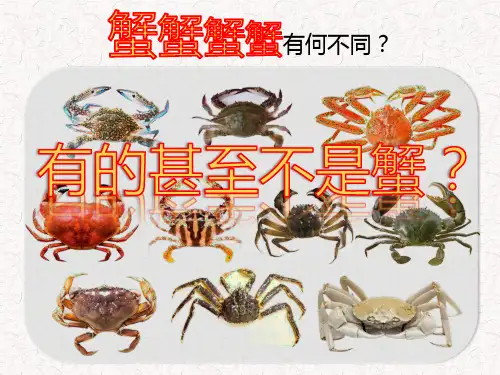 螃蟹的区别和特点