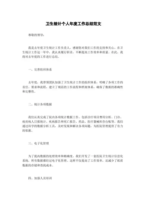 卫生统计个人年度工作总结范文
