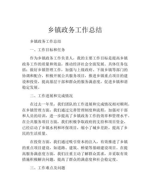 乡镇政务工作总结