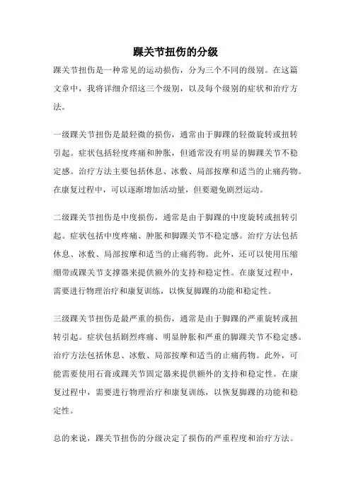 踝关节扭伤的分级
