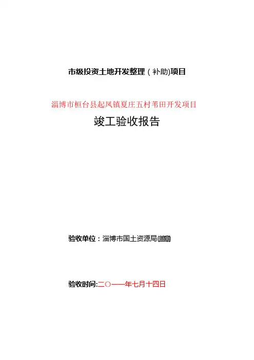 竣工验收报告(模版)