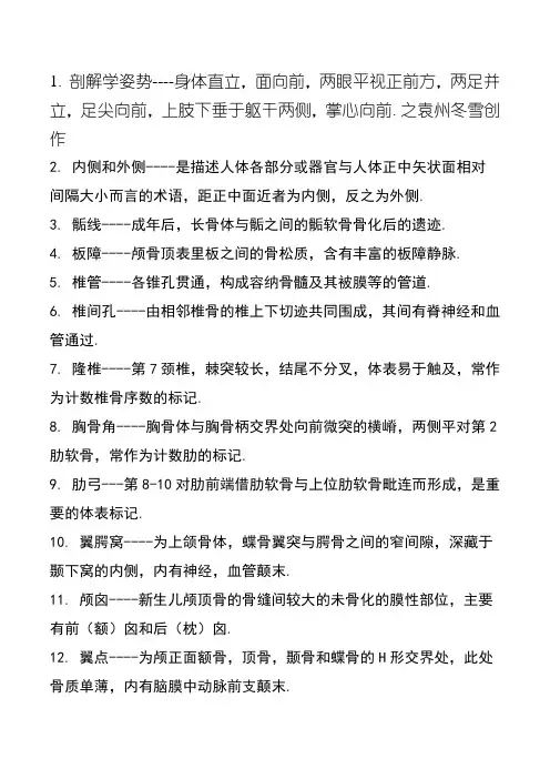 解剖学名词解释