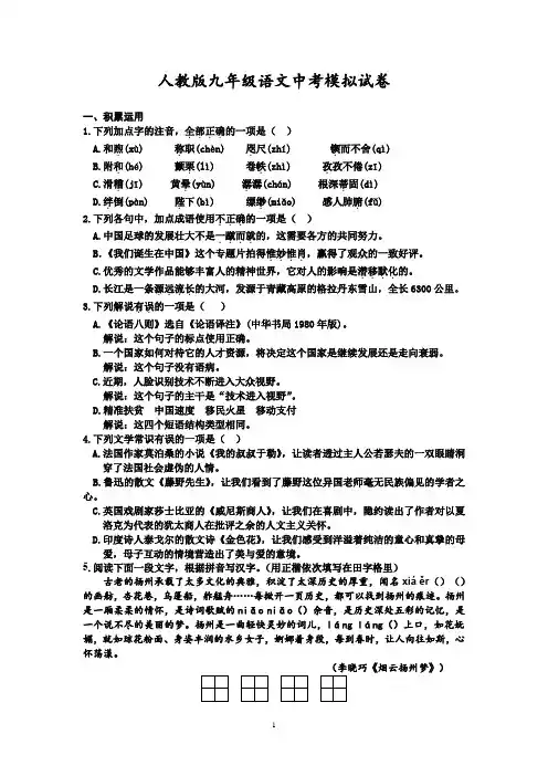 人教版九年级语文中考模拟试卷