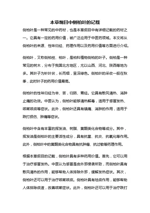 本草纲目中侧柏叶的记载