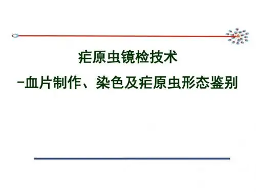 血片制作染色课件