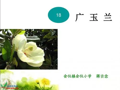 18《广玉兰》PPT课件