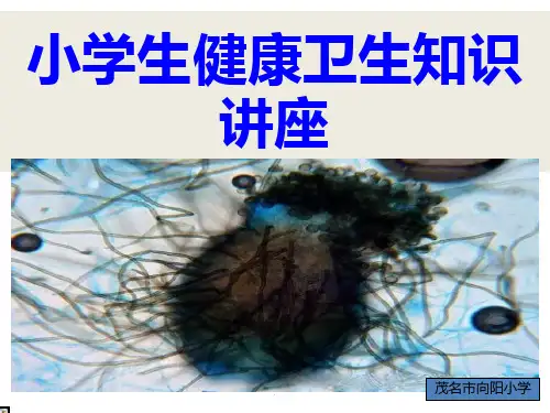 小学生健康卫生知识ppt课件