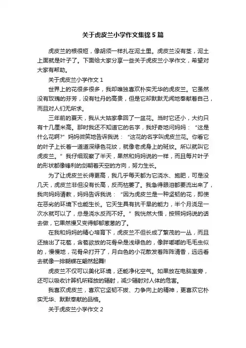 关于虎皮兰小学作文集锦5篇
