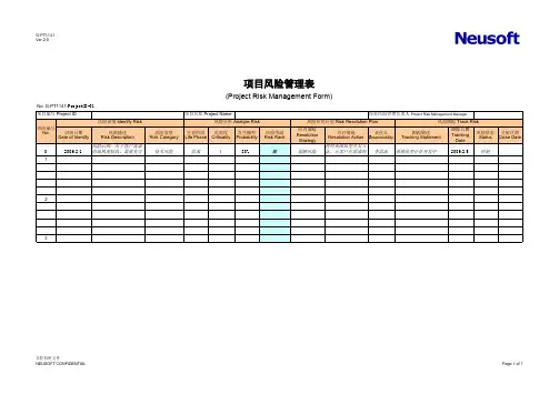 项目风险管理表V