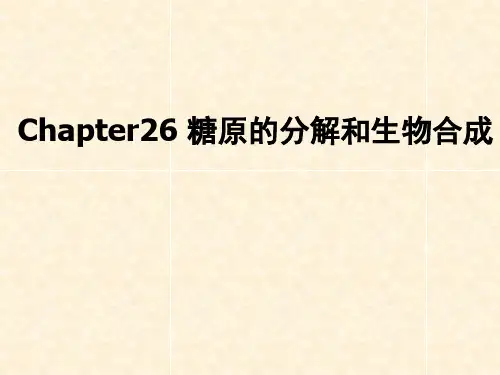 Chapter 26 糖原的分解和生物合成