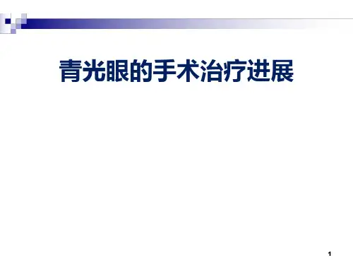 青光眼手术治疗进展