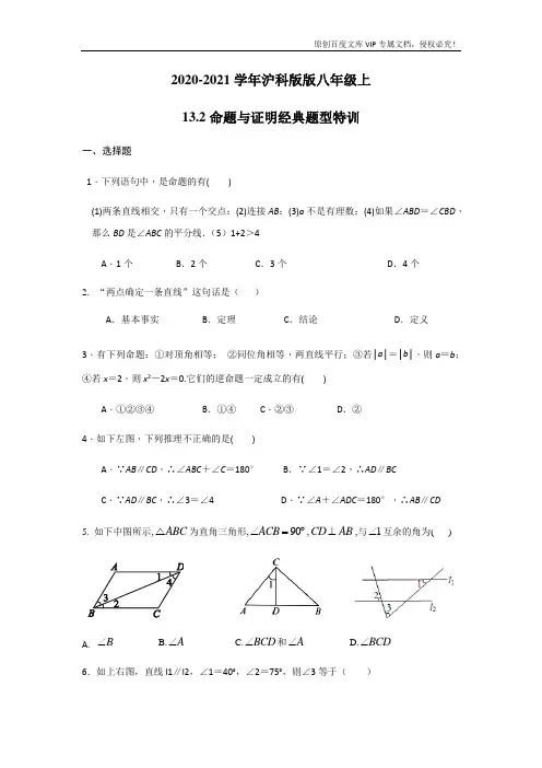 沪科版八年级数学上册 13.2命题与证明题型特训 (无答案)