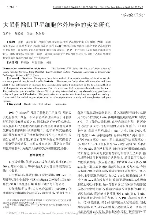 大鼠骨骼肌卫星细胞体外培养的实验研究