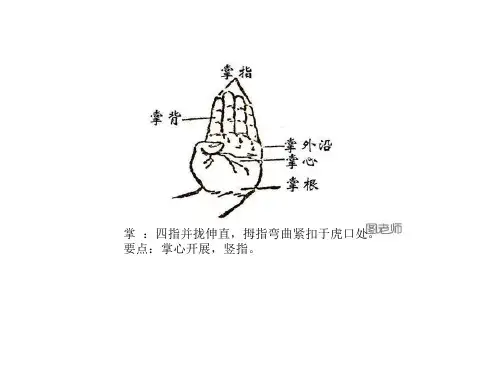 小学体育_武术基本功手型步型教学课件设计