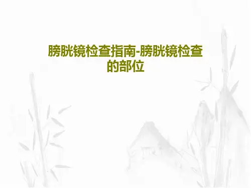 膀胱镜检查指南-膀胱镜检查的部位PPT共58页