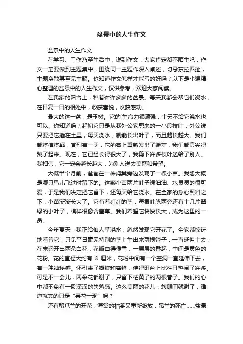盆景中的人生作文