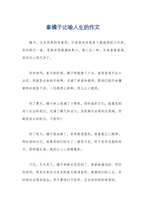 拿橘子比喻人生的作文