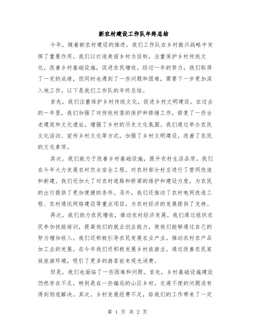 新农村建设工作队年终总结