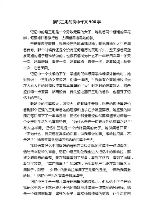 描写三毛的高中作文900字