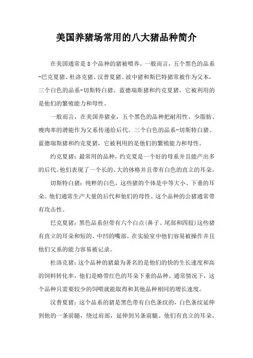 美国养猪场常用八大猪品种简介
