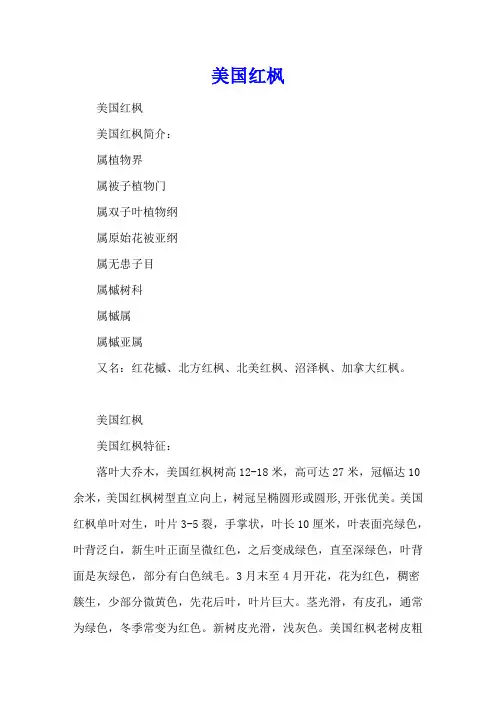 美国红枫-养殖技术
