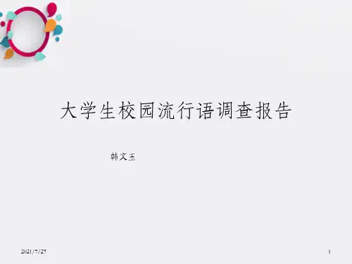 韩文玉-大学生校园流行语调查报告