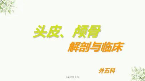 头皮和颅骨解剖2课件