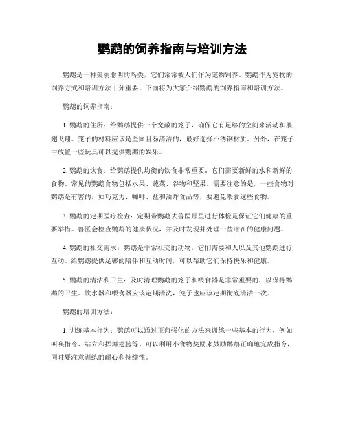 鹦鹉的饲养指南与培训方法