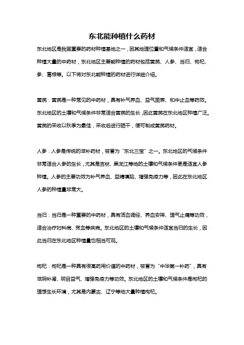 东北能种植什么药材