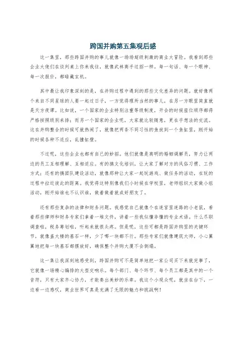 跨国并购第五集观后感
