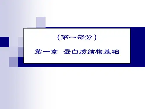 第一章蛋白质结构基础全篇