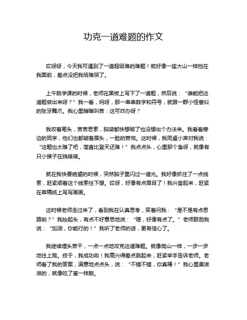 功克一道难题的作文