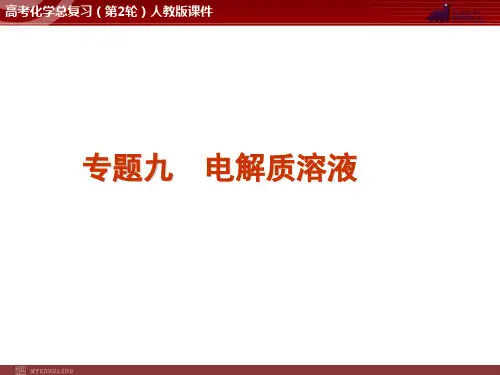 高考化学二轮复习精品 专题9 电解质溶液