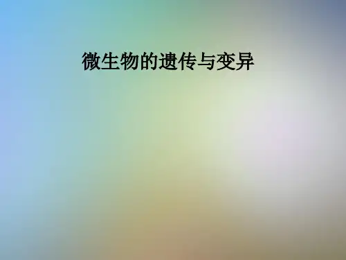 微生物的遗传与变异